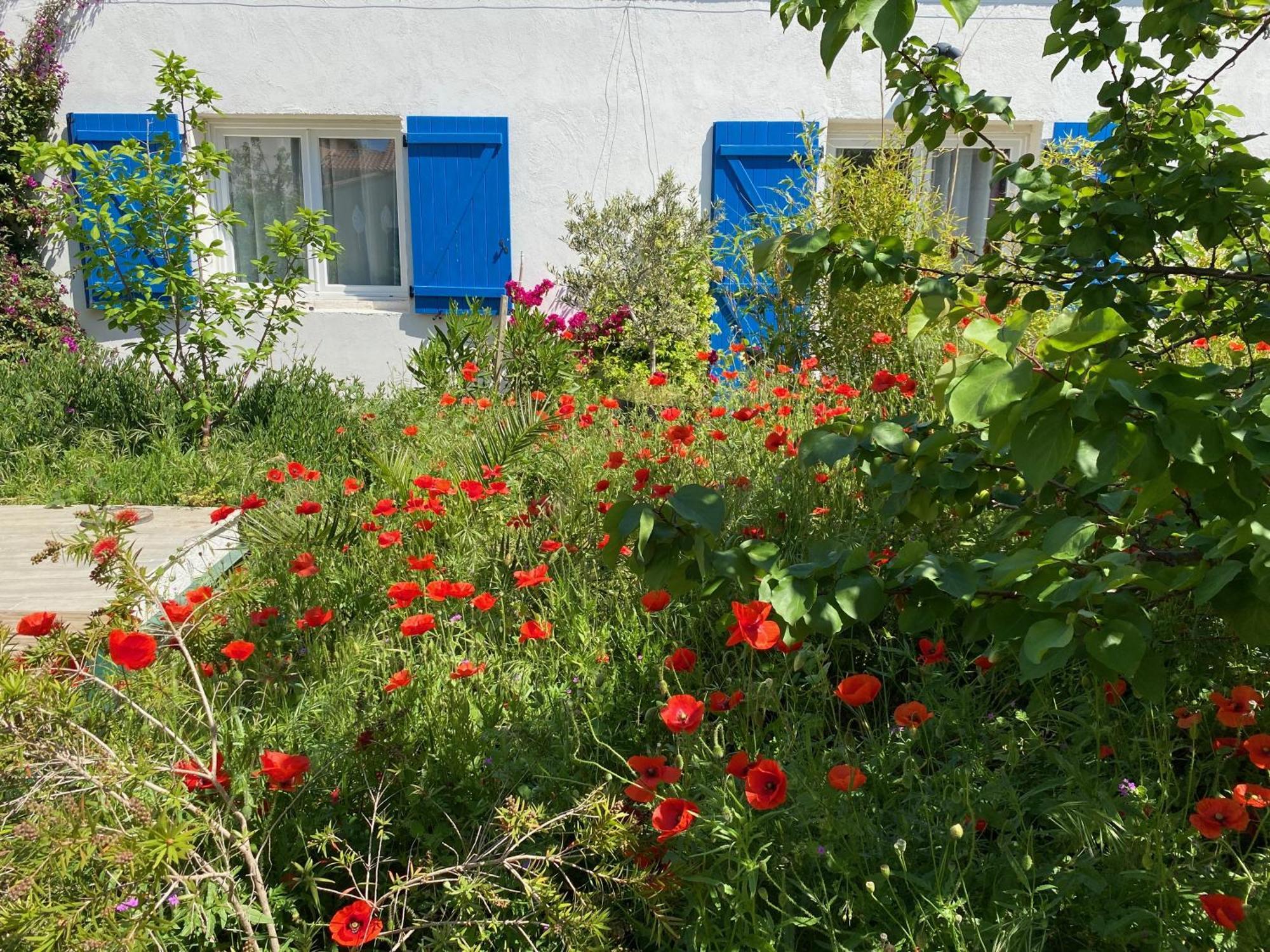 Maisonnette De Jardin Marseille Exteriör bild
